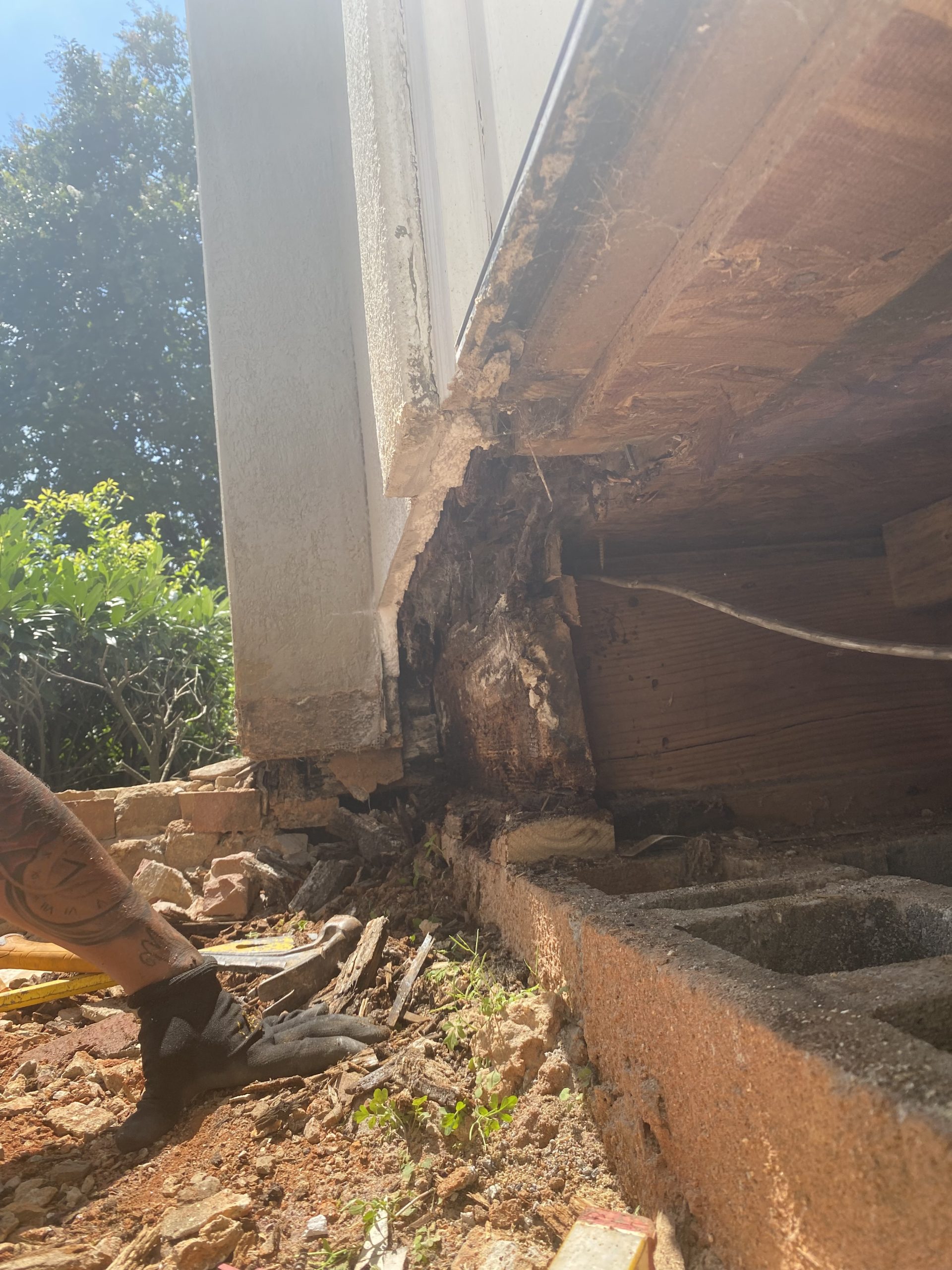 outside dry rot repair