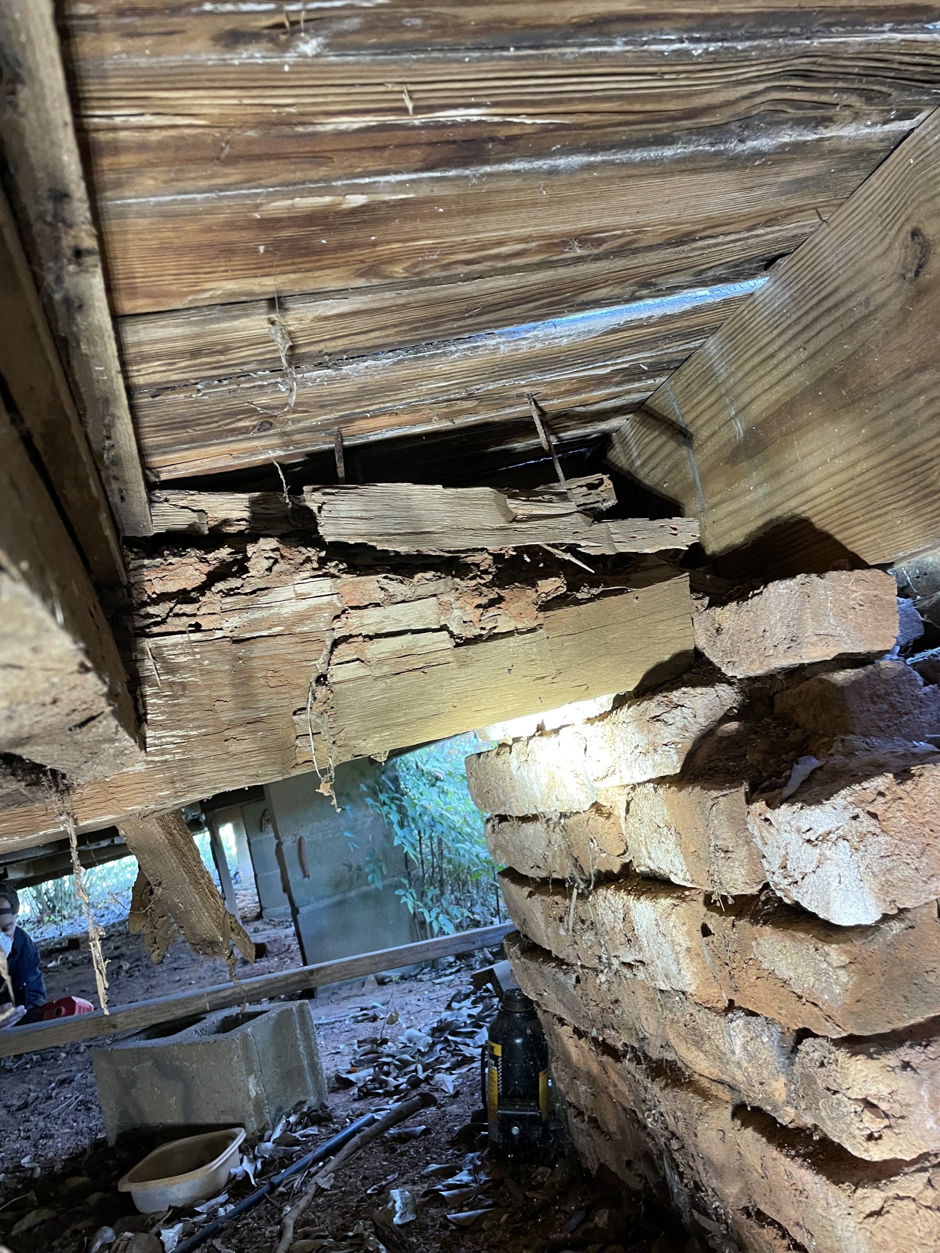termite damage repair, free quote