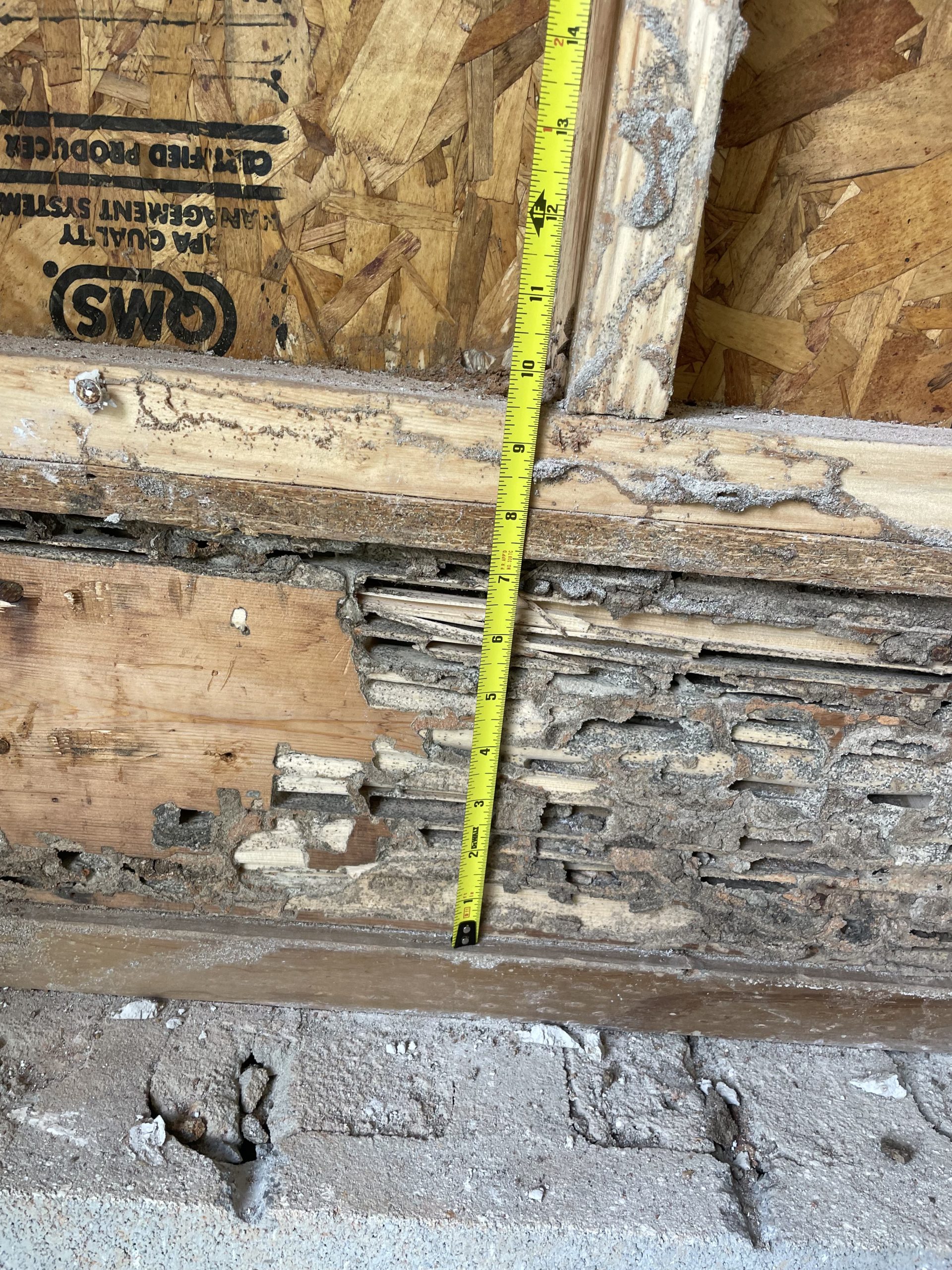 measured termite damage measured termite damage USR